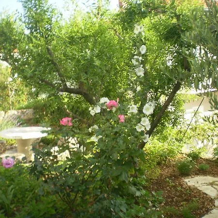 Apartmani Marija