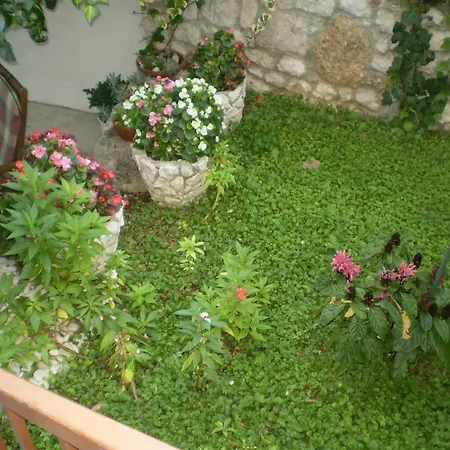 Apartment Apartmani Marija