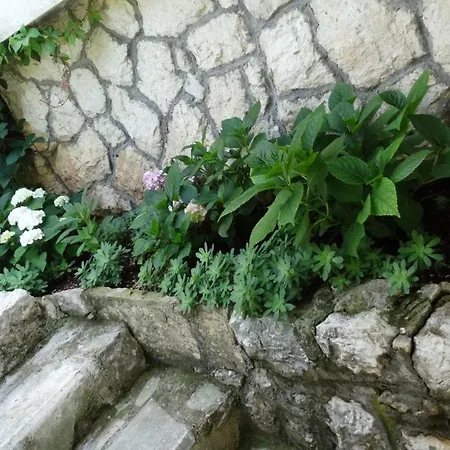 Apartment Apartmani Marija